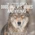 The Difference Between Dogs Wolves Foxes and Hyenas | Children's Science & Nature