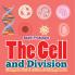 The Cell and Division Biology for Kids | Children's Biology Books