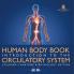 Human Body Book | Introduction to the Circulatory System | Children's Anatomy & Physiology Edition