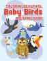 Coloring Beautiful Baby Birds Coloring Book