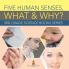 Five Human Senses What & Why?