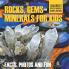 Rocks Gems and Minerals for Kids Facts Photos and Fun Childrens Rock Mineral Books Edition