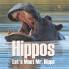 Hippos - Let's Meet Mr. Hippo