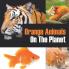 Orange Animals On The Planet