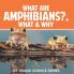 What Are Amphibians? What & Why