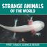 Strange Animals Of The World