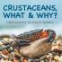 Crustaceans What & Why?