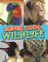 Super Cool Wildlife