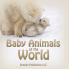Baby Animals of the World