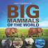 Big Mammals Of The World