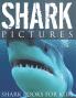 Shark Pictures (Shark Books for Kids)