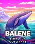 Libro da Colorare sulle Balene