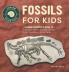 Fossils for Kids