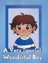 A Very Special Wonderful Boy