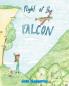 The Flight of the Falcon