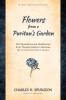 Flowers from a Puritan's Garden
