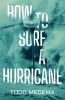 How to Surf a Hurricane