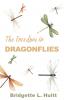 The Freedom in Dragonflies