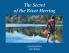 The Secret of the River Herring