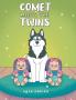 Comet Meets The Twins
