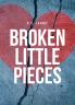 Broken Little Pieces