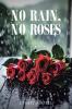 No Rain No Roses