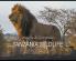 Tanzania Wildlife