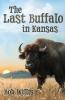 The Last Buffalo in Kansas