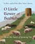 O Little Tower of Bethlehem