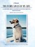 A Memoir The Furry Loves of My Life