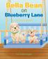Bella Bean on Blueberry Lane