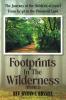 Footprints in the Wilderness (Volume 2)