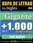 SOPA DE LETRAS EN INGLÉS FORMATO GIGANTE