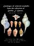 Catalogue of selected seashells from the Emilio F. García collection. And other stories.