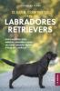 O Guia Completo sobre os Labradores Retrievers