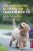 Der Umfassende Ratgeber Für Labradoodles