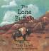 The Lone Buffalo