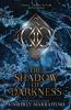 The Shadow of Darkness (Magic of the Realm Book 4)