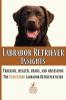 Labrador Retriever Insights