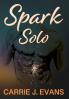 Spark Solo