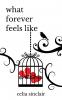 What Forever Feels Like