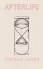 Afterlife