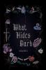 What Hides in the Dark