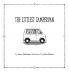 The Littlest CamperVan