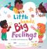 Little Hands Big Feelings