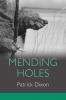 Mending Holes