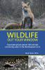 Wildlife Out Your Window