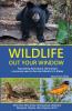 Wildlife Out Your Window