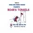 Boar's Tonsils