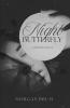 Night Butterfly